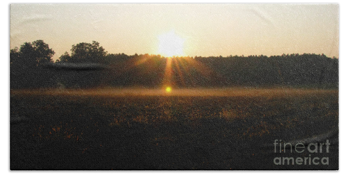 Sun Beach Towel featuring the photograph Morning Sun Lite Field by Donna Brown