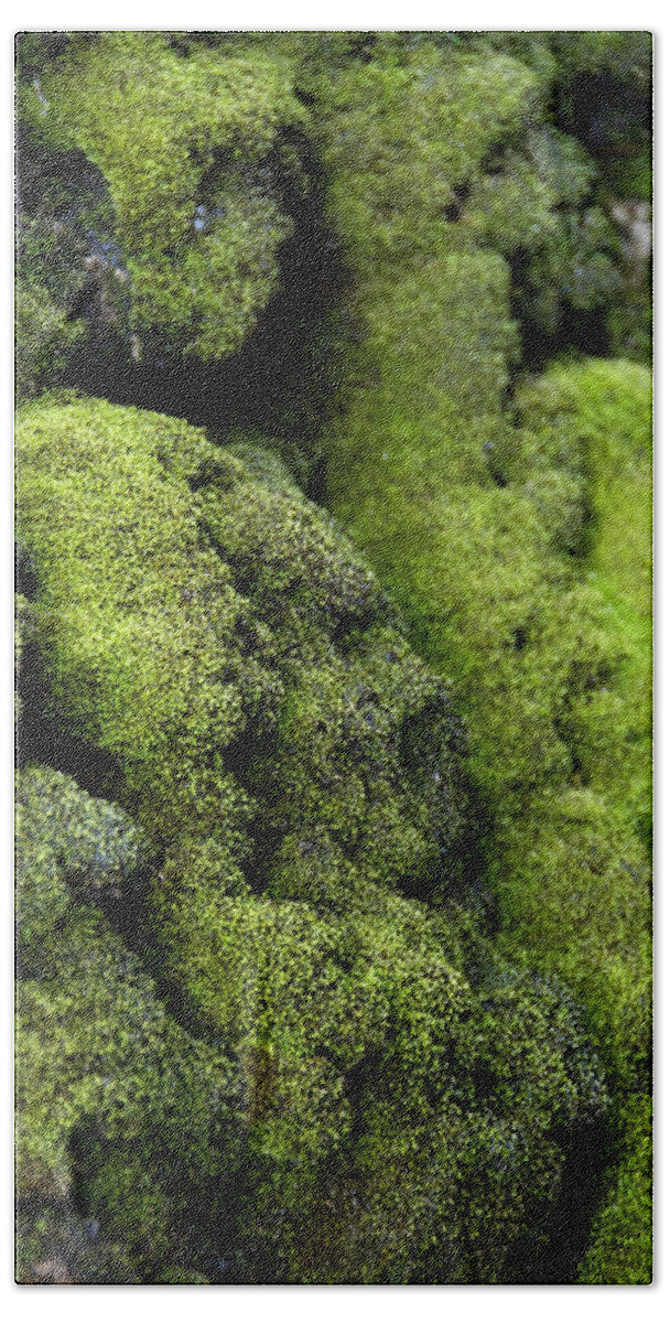 Photography Beach Towel featuring the photograph Mounds of Moss by Jackie Farnsworth