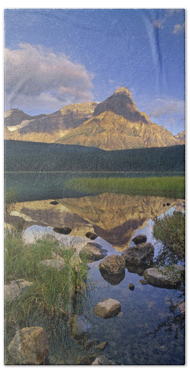 00175865 Beach Towel featuring the photograph Mount Chephren And Waterfowl Lake Banff by Tim Fitzharris