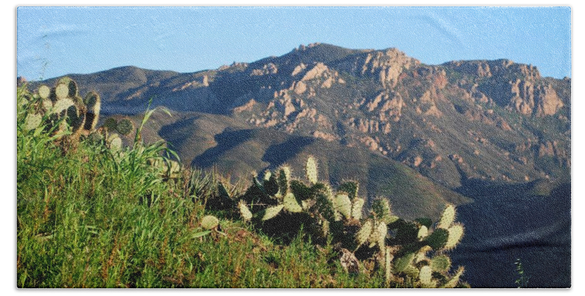Tree Beach Sheet featuring the photograph Mountain Cactus View - Santa Monica Mountains by Matt Quest
