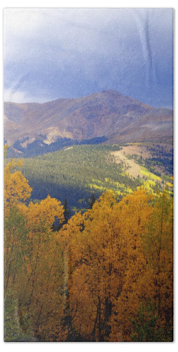 Colorado Beach Towel featuring the photograph Mountain Fall by Marty Koch