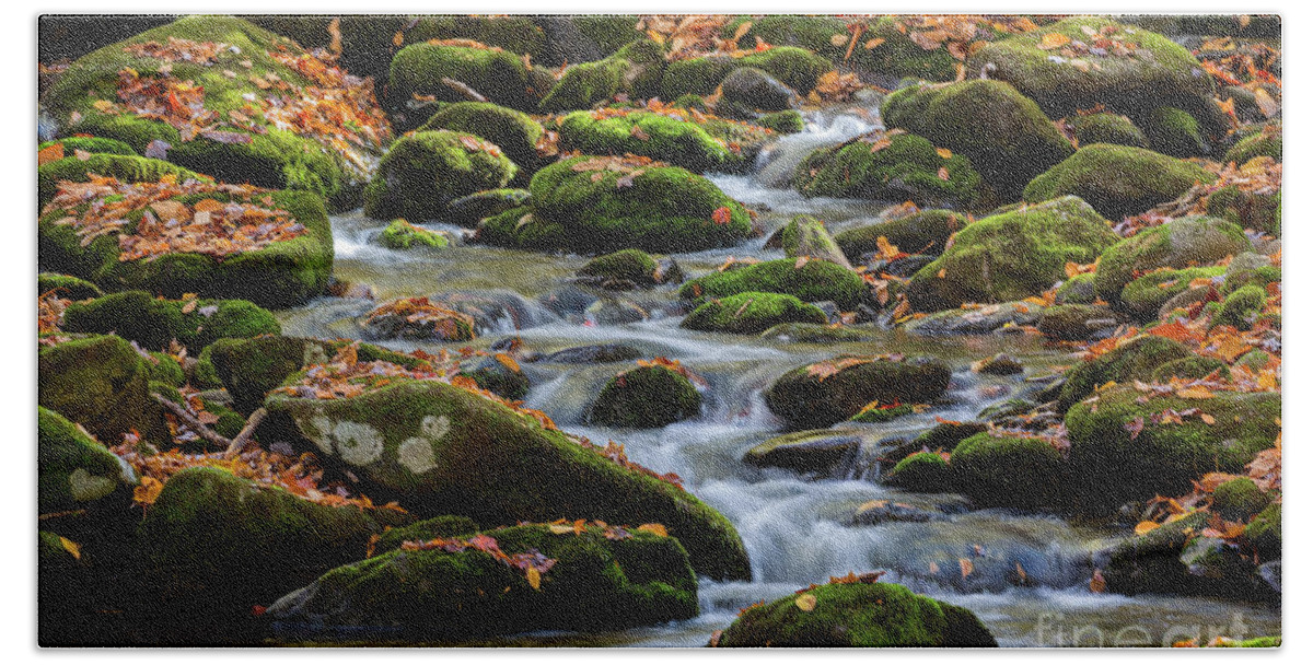 Middle Prong Little River Beach Towel featuring the photograph Mountain Stream Cascades by Doug Sturgess