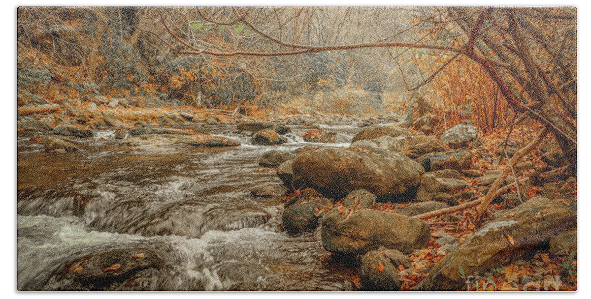 Mountain Beach Towel featuring the photograph Mountain Stream with Tree Overhang #2 by Tom Claud