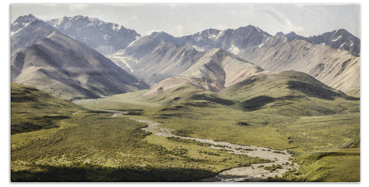 Mountains In Denali National Park Beach Towel featuring the photograph Mountains in Denali National Park by Phyllis Taylor