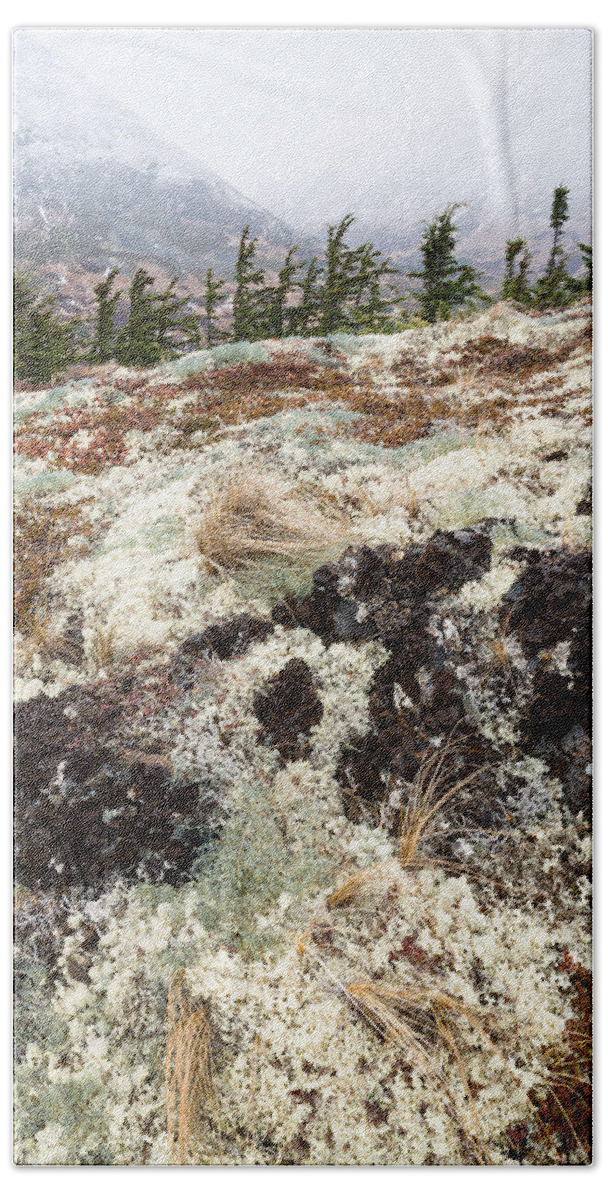 Alaska Beach Towel featuring the photograph Chugach in the Autumn Rain by Tim Newton