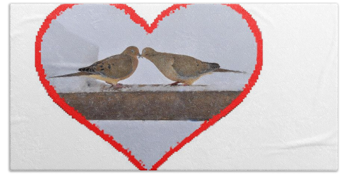 Mourning Doves; Birds; Love; Touching; Beaks Beach Towel featuring the photograph Mourning doves kissing by Dan Friend