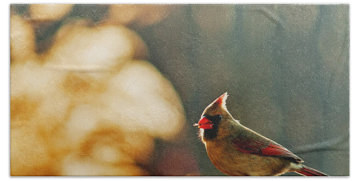 Northern Cardinal Beach Towel featuring the photograph Mouthful by Ed Peterson