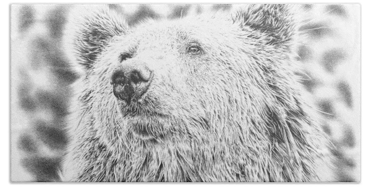 Pencildrawing Beach Towel featuring the drawing Mr. Bear by Casey 'Remrov' Vormer