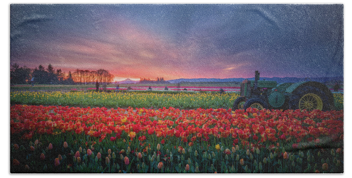 America Beach Sheet featuring the photograph Mt. Hood and Tulip field at dawn by William Lee