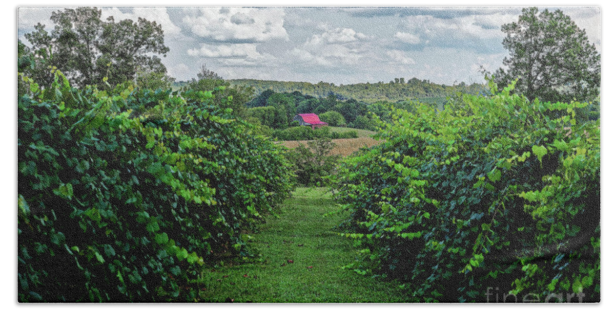 Muscodine Beach Towel featuring the photograph Muscadine View by Paul Mashburn