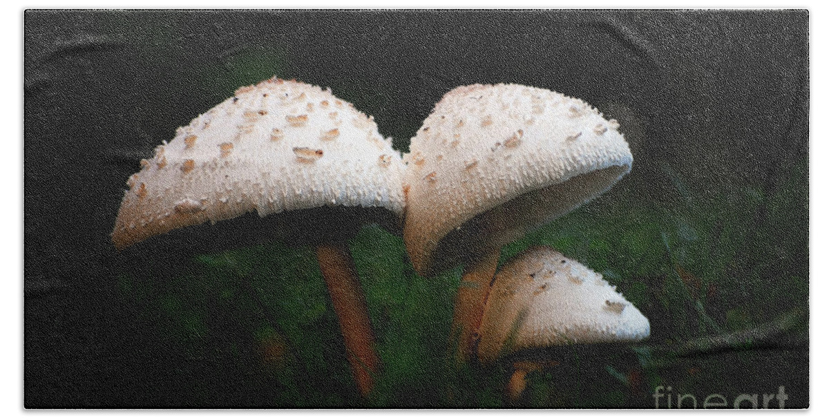 Mushrooms Beach Towel featuring the photograph Mushrooms in the morning by Robert Meanor