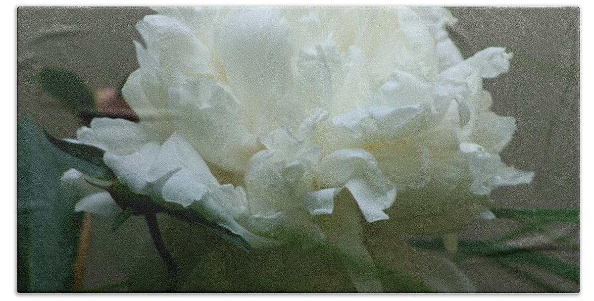 Flower Beach Sheet featuring the photograph My Little Peony by Barbara S Nickerson
