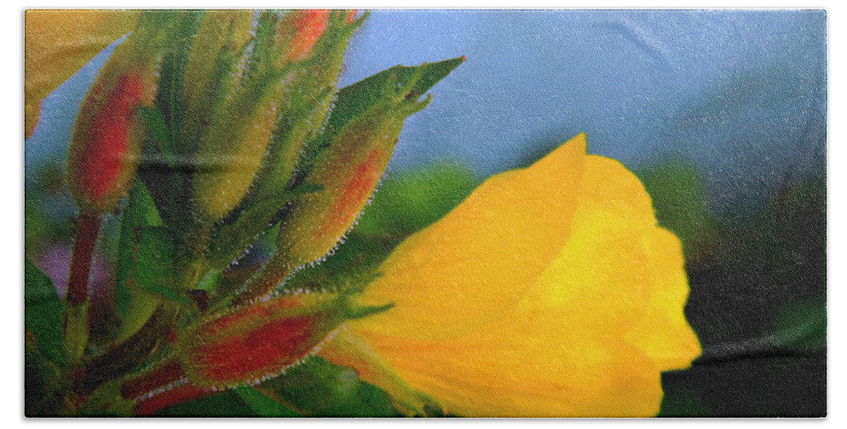 Yellow Flower From My Own Garden Macro Beach Towel featuring the photograph My Own by Elfriede Fulda