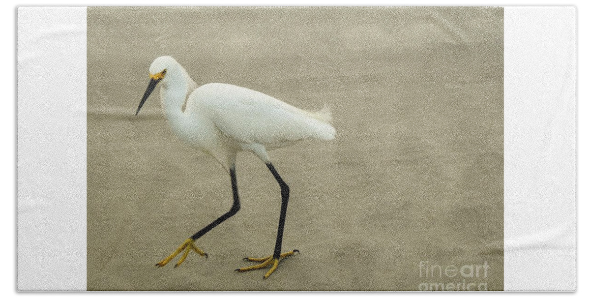 Snowy Egret Beach Towel featuring the photograph My Yellow Shoes by Jan Gelders