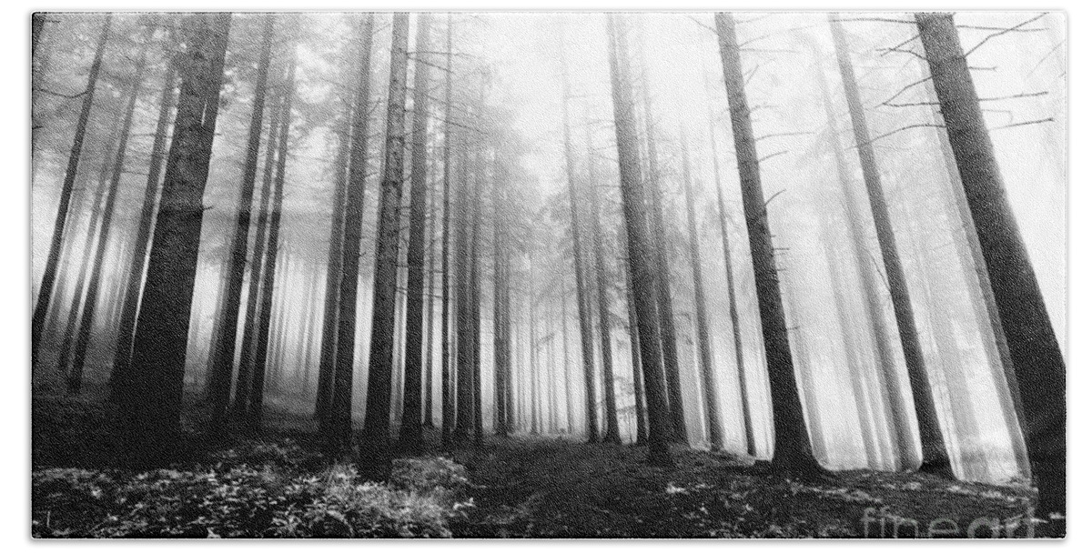 Bleak Beach Towel featuring the photograph Mysterious Forest by Michal Boubin