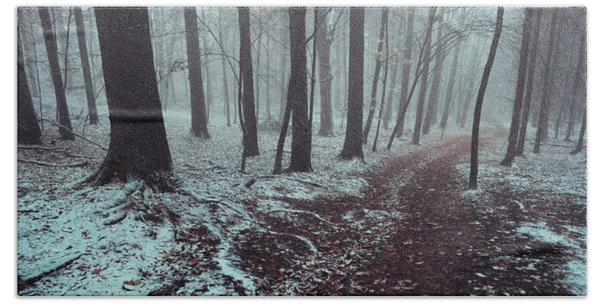 Jenny Rainbow Fine Art Photography Beach Towel featuring the photograph Mysterious Winter Woods 1 by Jenny Rainbow