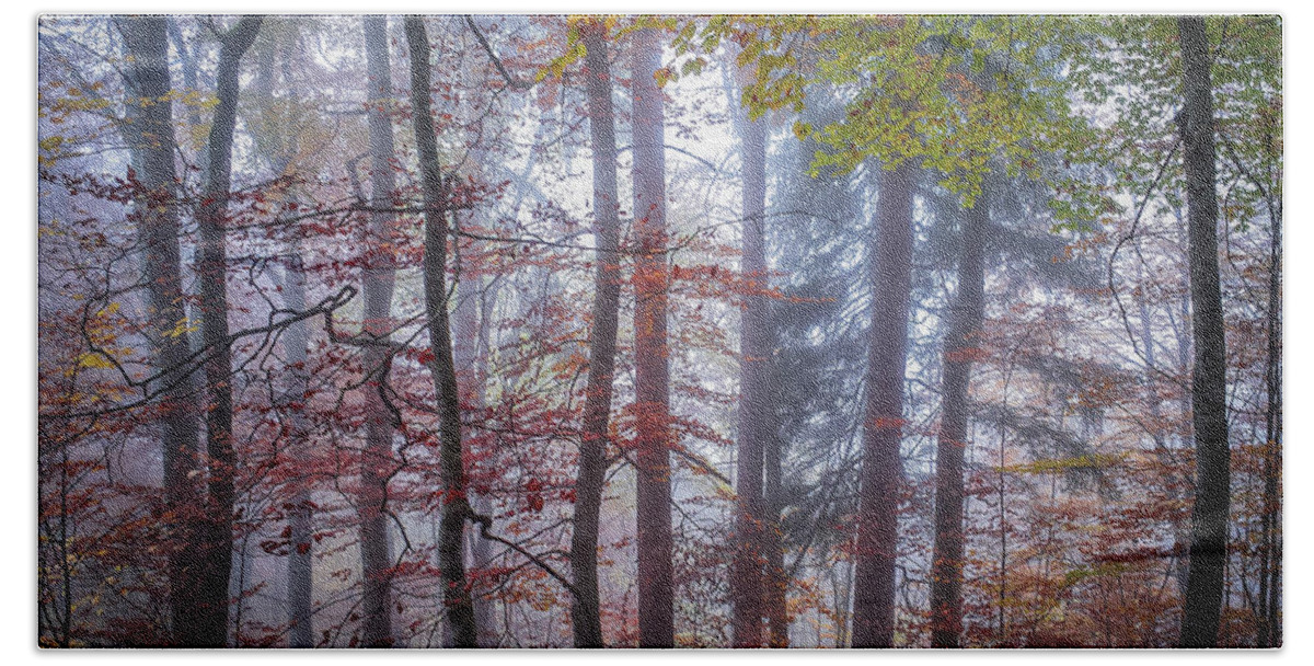 Forest Beach Sheet featuring the photograph Mystery in fog by Elena Elisseeva