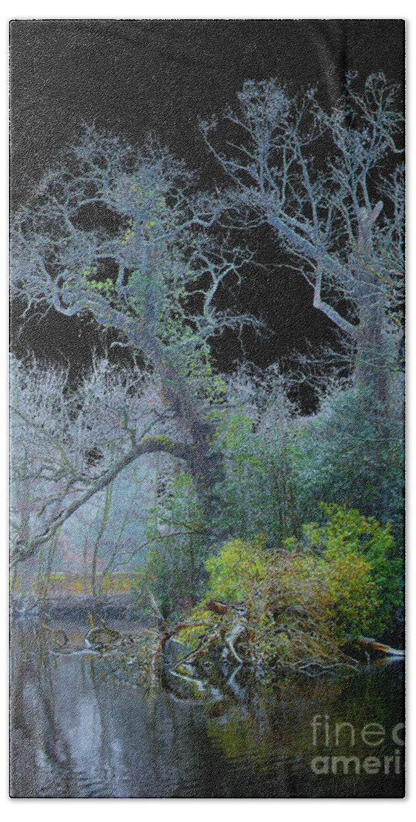 Den Haag Beach Sheet featuring the photograph Mystical wintertree by Casper Cammeraat