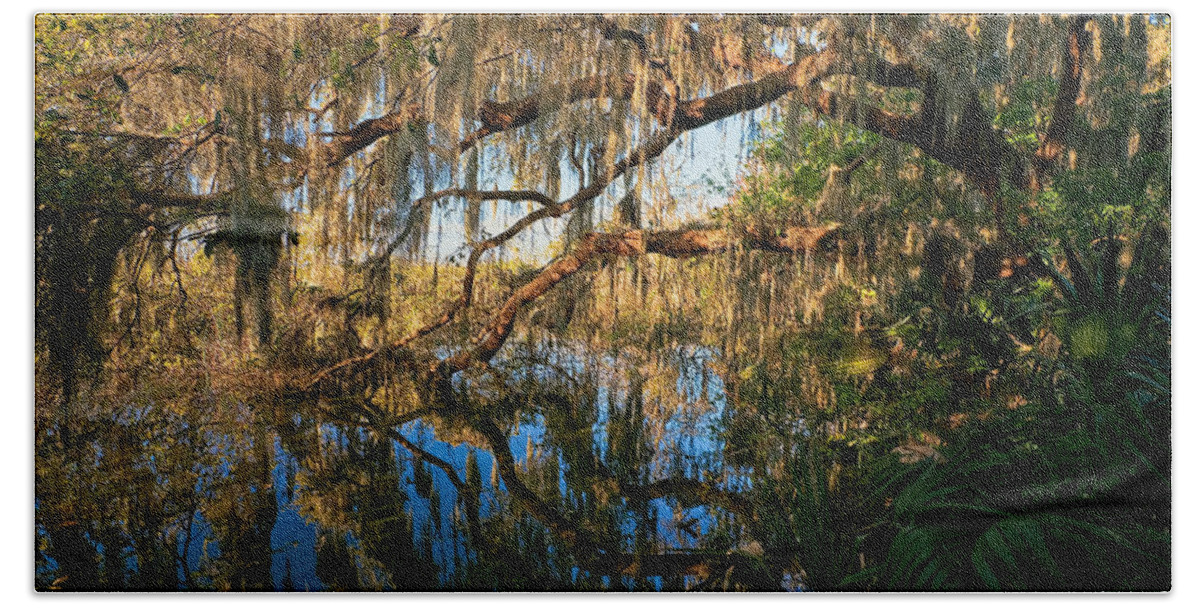 Landscape Beach Towel featuring the photograph Naturally Florida by Christopher Holmes
