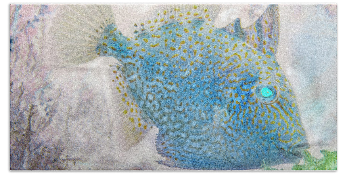 Florida Beach Towel featuring the photograph Nautical Beach and Fish #2 by Debra and Dave Vanderlaan