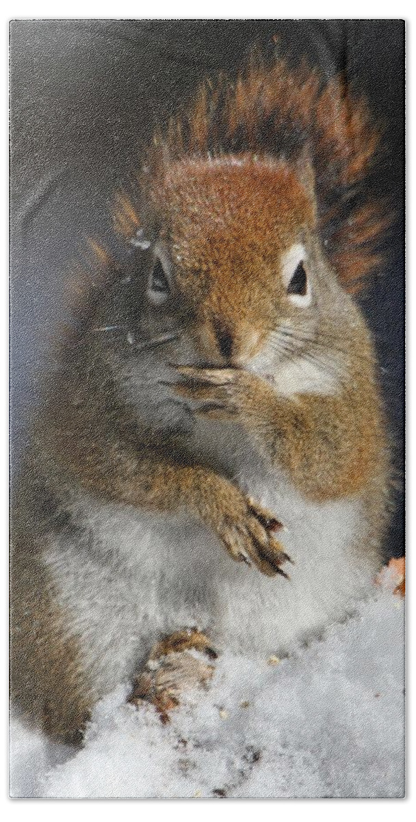 Squirrel Beach Sheet featuring the photograph The thinker by Heather King