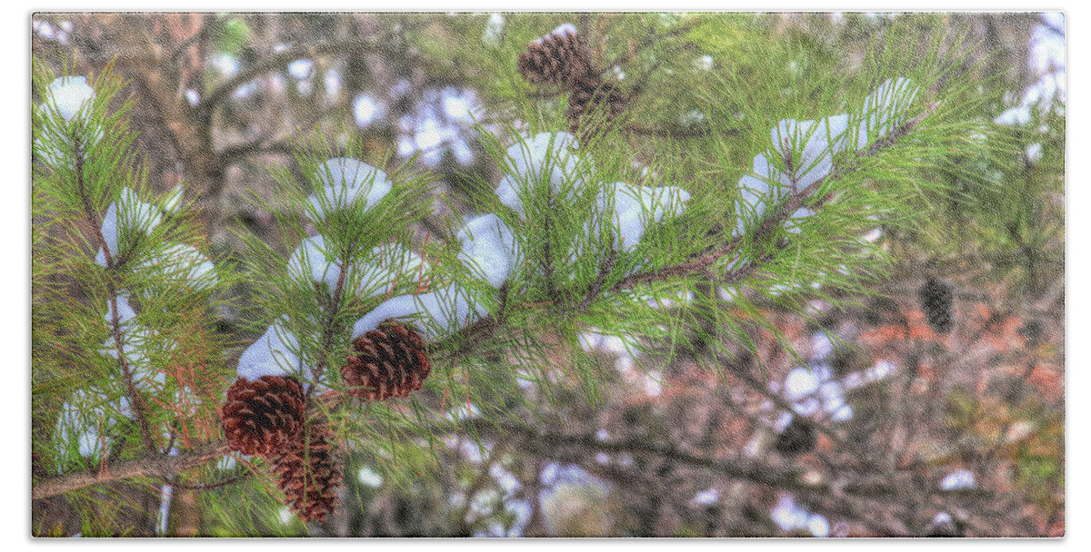 Pine Beach Towel featuring the photograph Needles and Cones by J Laughlin