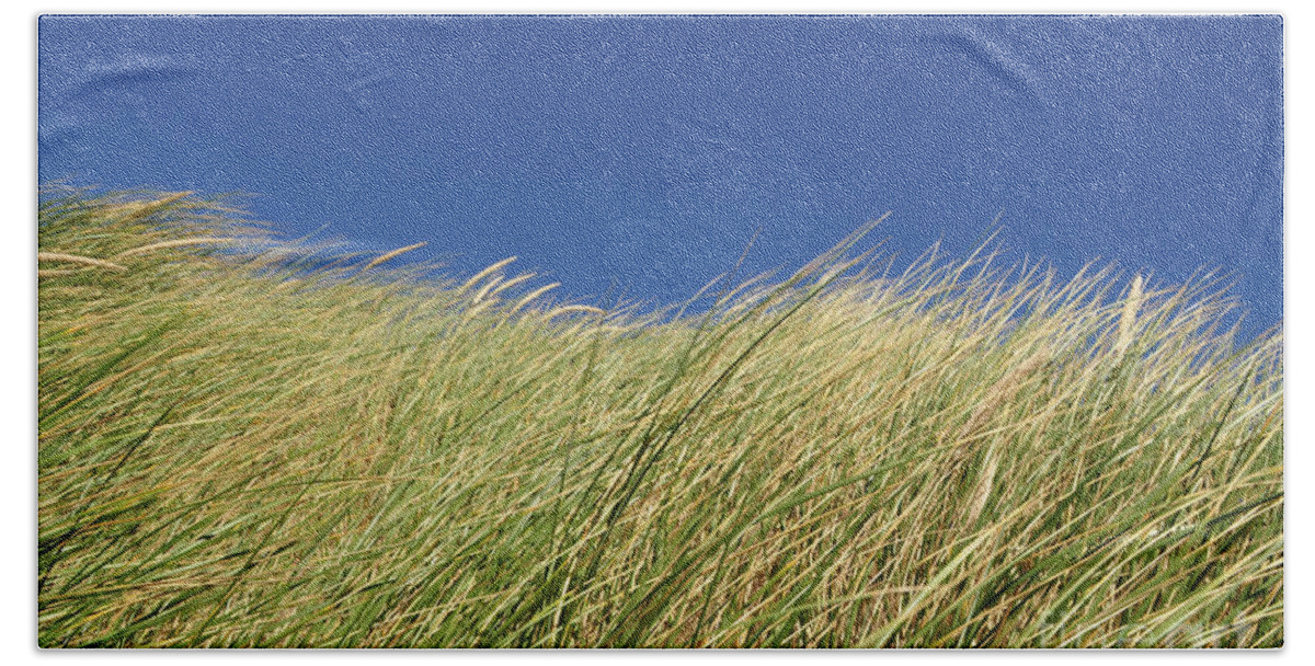Grass Beach Towel featuring the photograph Nehalem II by Stevyn Llewellyn