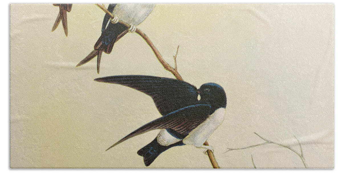 Swallow Beach Towel featuring the painting Nepal House Martin by John Gould