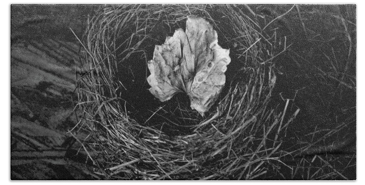 Bird Nest Beach Towel featuring the photograph Nest in Time Black and White by Lesa Fine