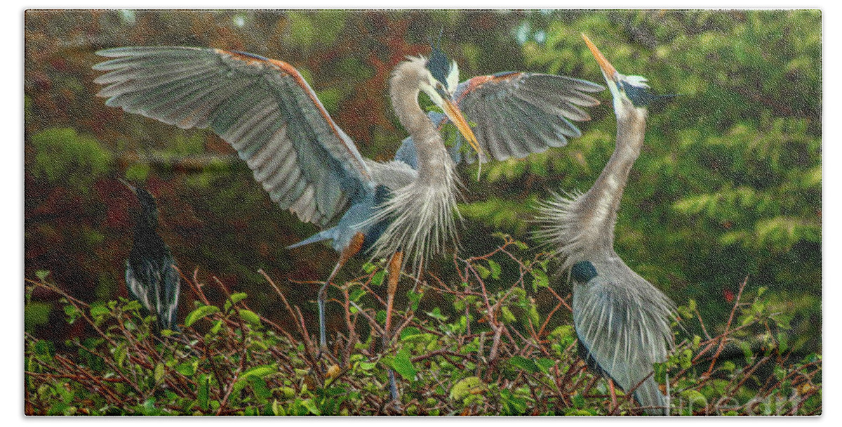 Blue Heron Beach Towel featuring the photograph Nest Landing by Tom Claud