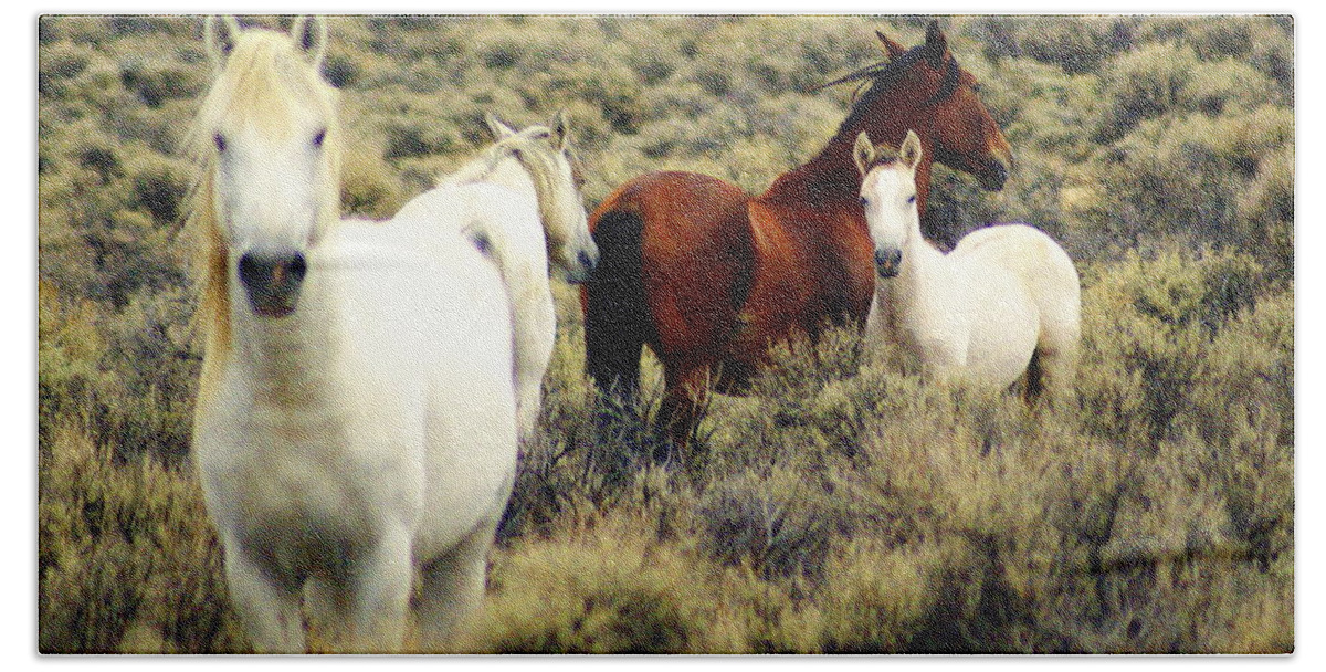 Horses Beach Sheet featuring the photograph Nevada Wild Horses by Marty Koch