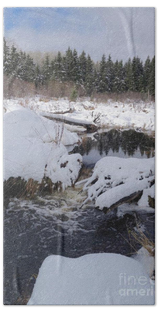 Beaver Pond Beach Towel featuring the photograph New Snow on Beaver Pond by Sandra Updyke