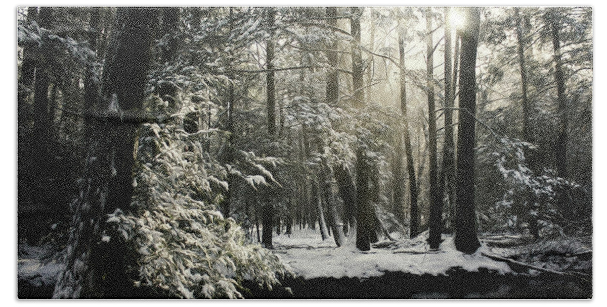 Snow Beach Towel featuring the photograph New Years Snowfall by Lori Deiter