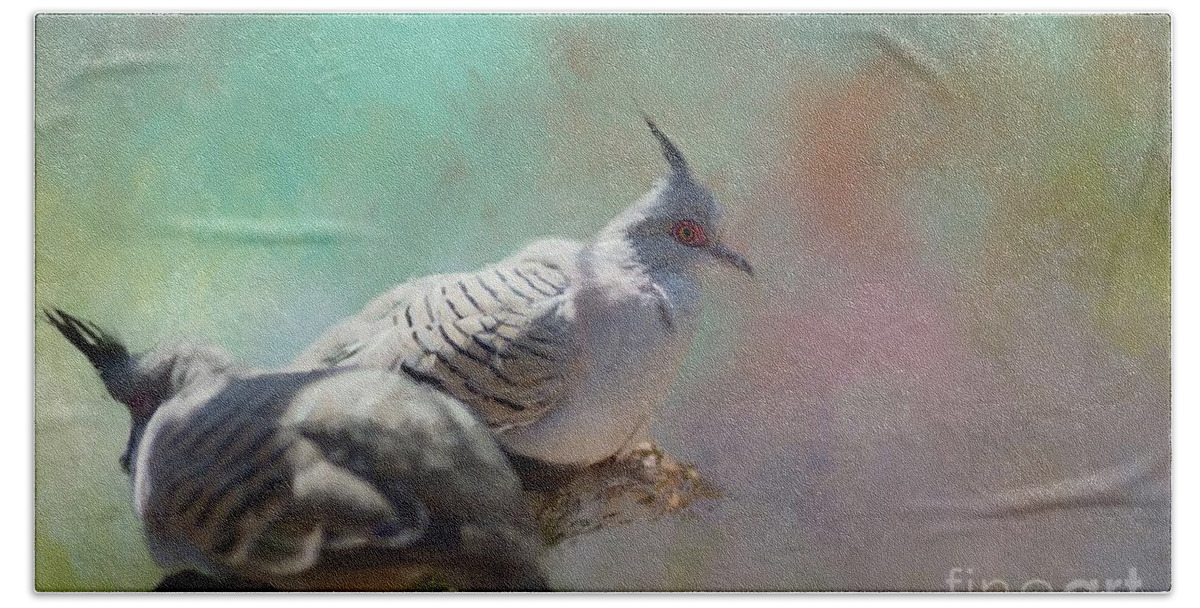 Crested Pigeons Beach Towel featuring the photograph Nice Couple by Eva Lechner