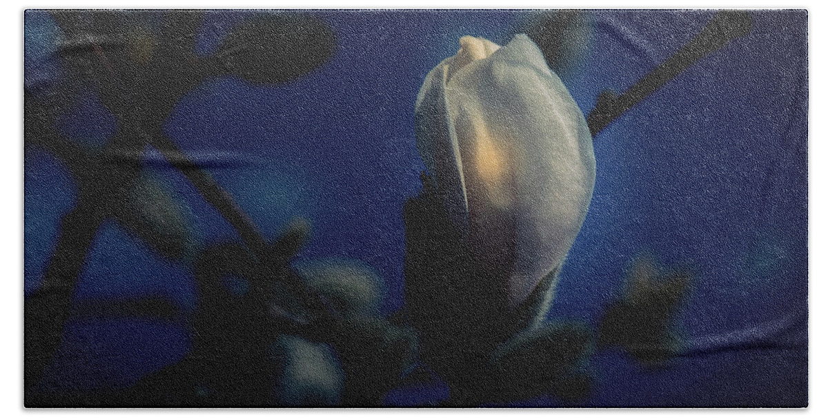 Flower Beach Sheet featuring the photograph Night Lights by Allin Sorenson
