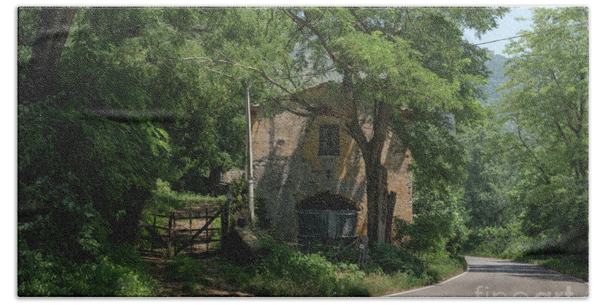 Bamboo Beach Towel featuring the photograph Ninfa Garden, Rome Italy 9 by Perry Rodriguez