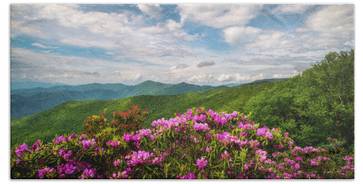 Asheville Beach Towel featuring the photograph North Carolina Spring Flowers Mountain Landscape Blue Ridge Parkway Asheville NC by Dave Allen