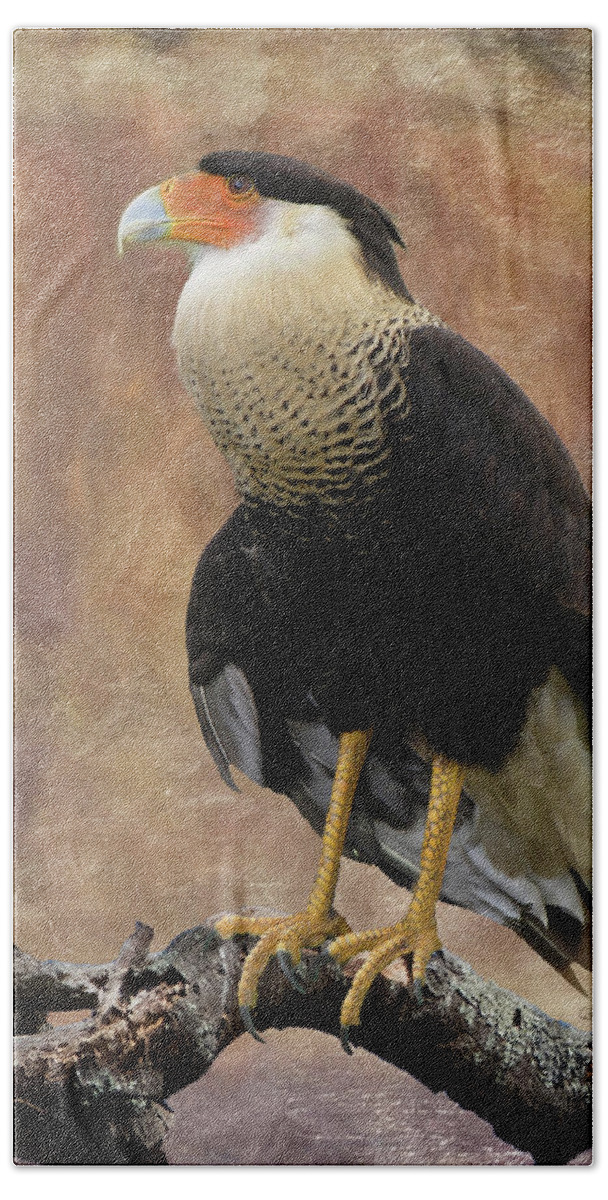 Birds Beach Sheet featuring the photograph Northern Crested Caracara at Sunset by Betty Denise
