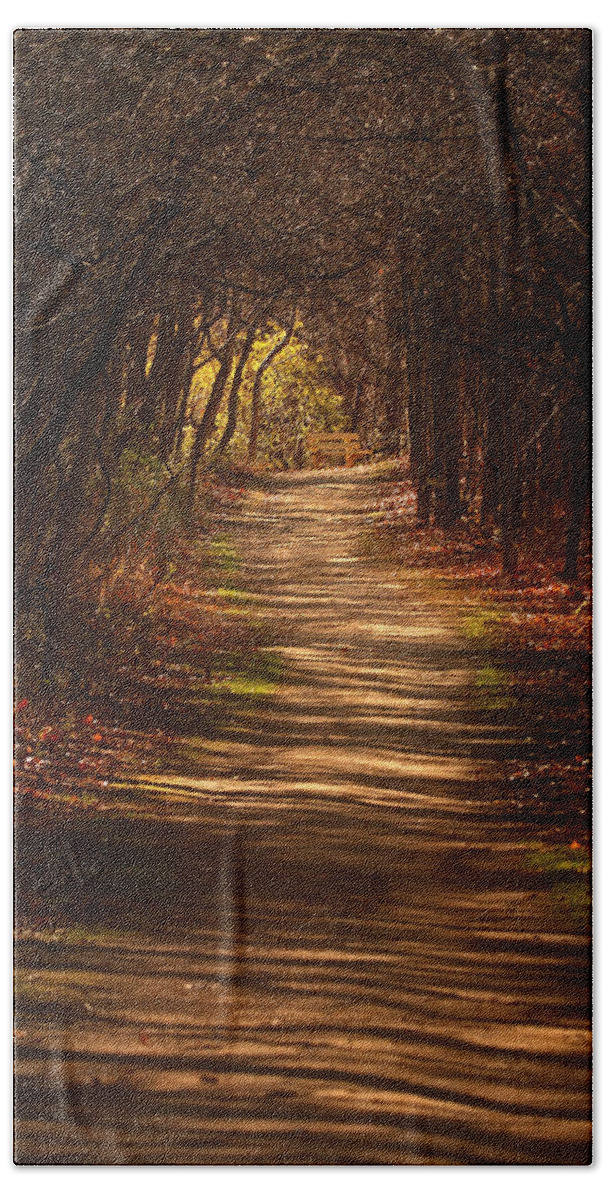 Pathway Beach Towel featuring the photograph November Shadows by Rob Blair