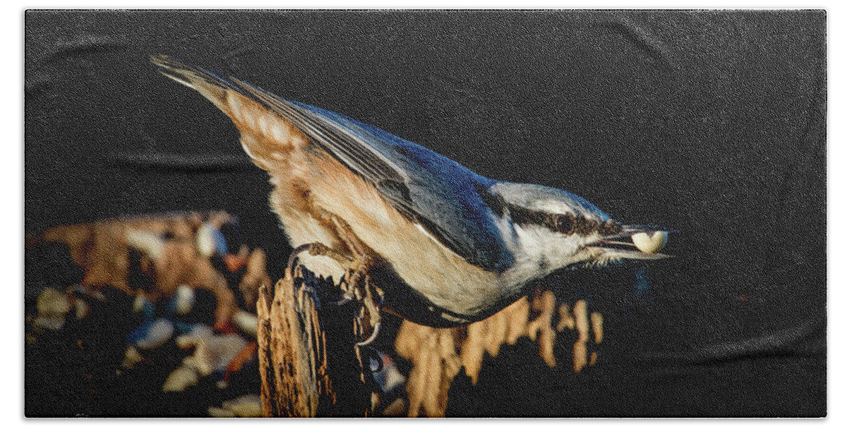 Nuthatch's Nut Beach Towel featuring the photograph Nuthatch with a nut in the beak by Torbjorn Swenelius