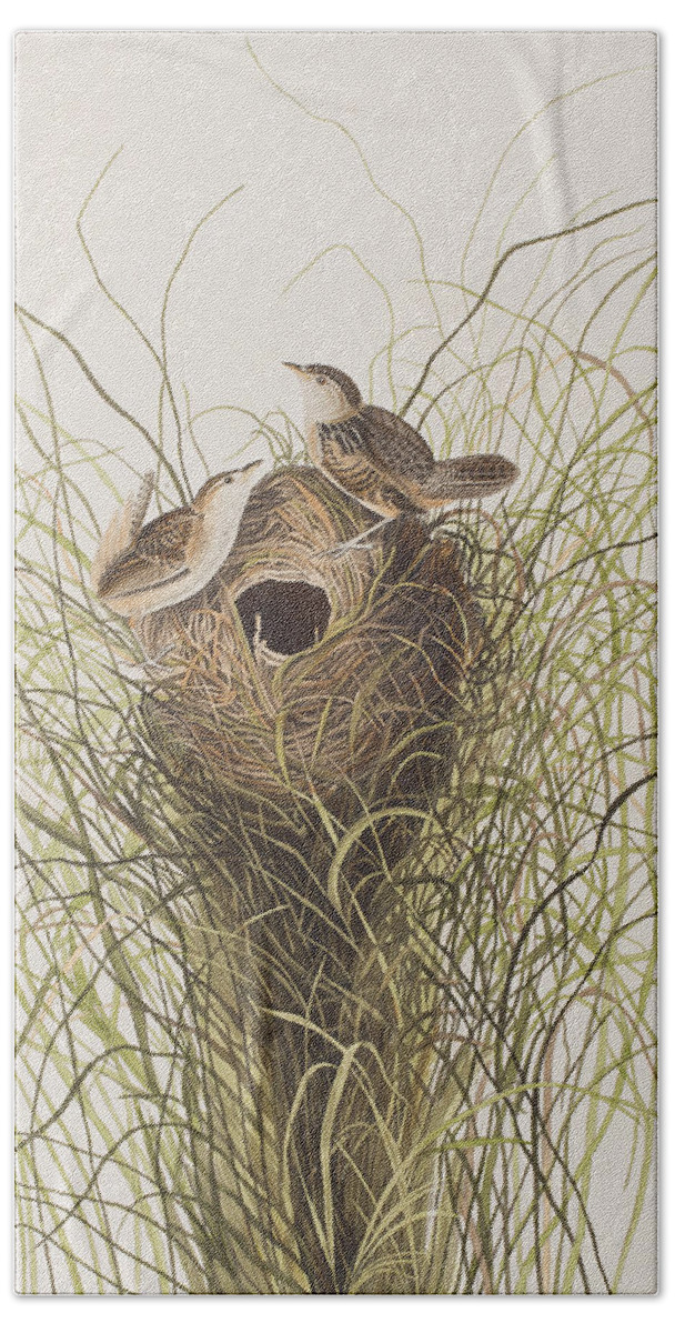 Wren Beach Towel featuring the painting Nuttall's lesser-marsh Wren by John James Audubon
