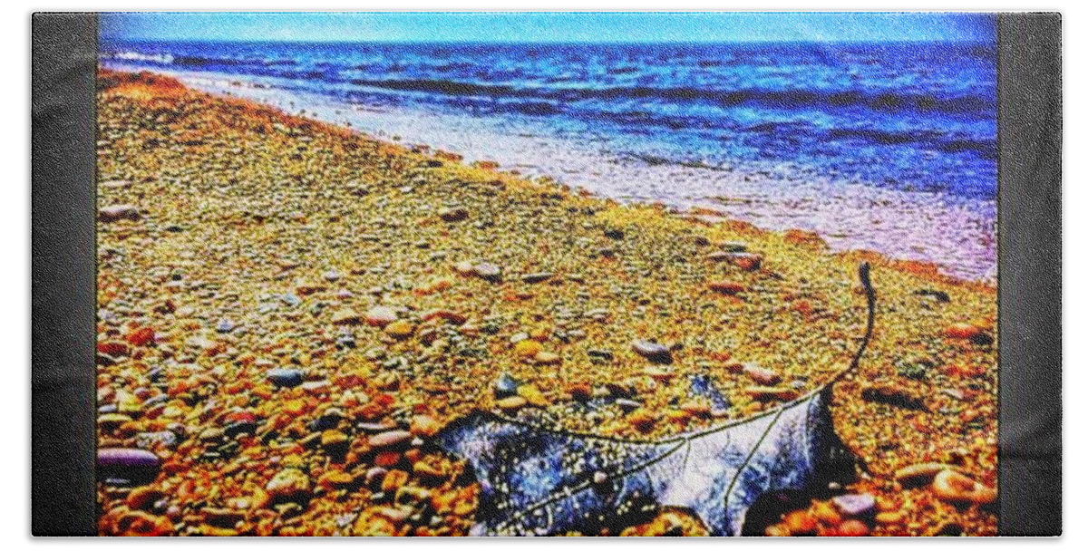 Blackoakleaf Beach Towel featuring the photograph Oak Leaf Beach by Nick Heap