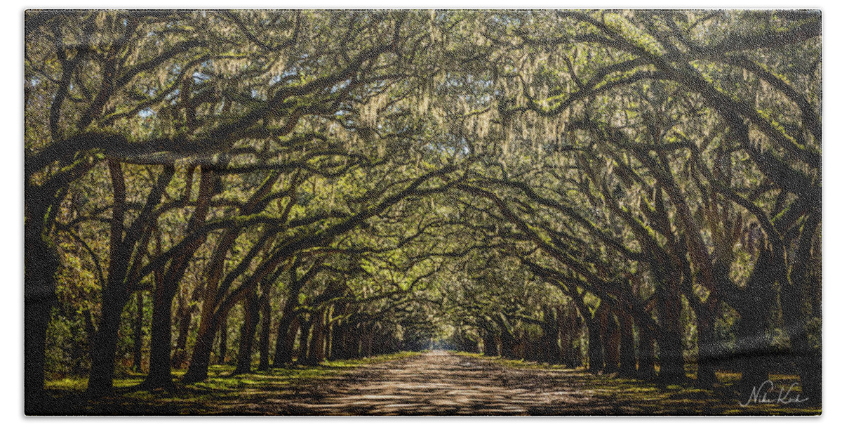 Georgia Beach Towel featuring the photograph Oak Tree Tunnel by Framing Places