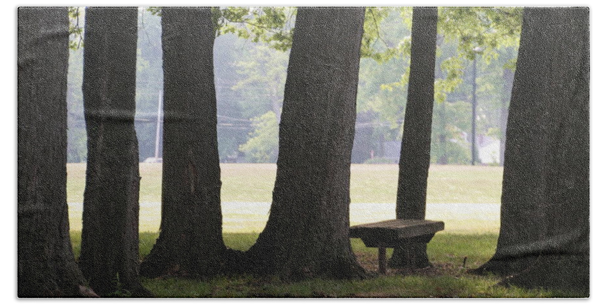 6 Oak Trees Beach Towel featuring the photograph Oak Trees and Bench by Valerie Collins