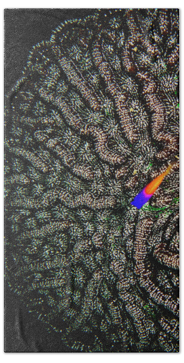 Ocean Beach Towel featuring the photograph Ocean Art cactus coral by Monique Taree