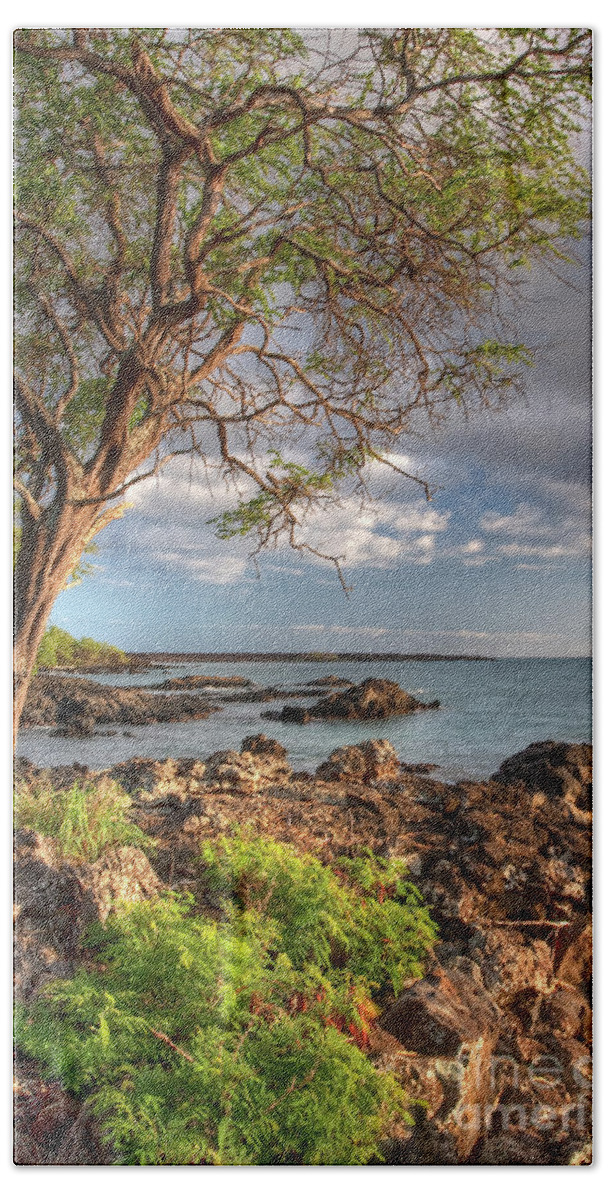 Hawaii Beach Towel featuring the photograph Ocean Tree by Bryan Keil