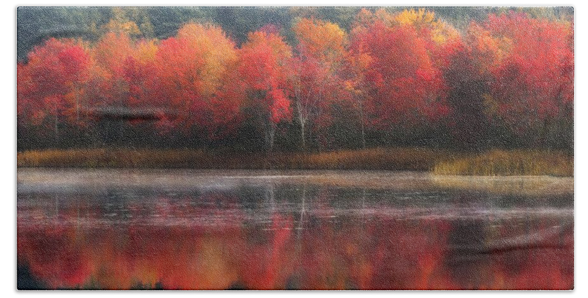 Trees Beach Sheet featuring the photograph October Trees - Autumn by MTBobbins Photography