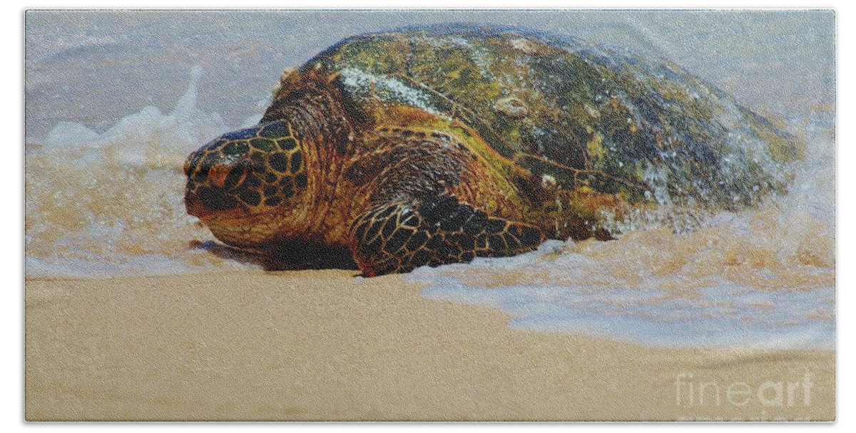 Turtle Beach Sheet featuring the photograph Old Man of the Sea by Craig Wood