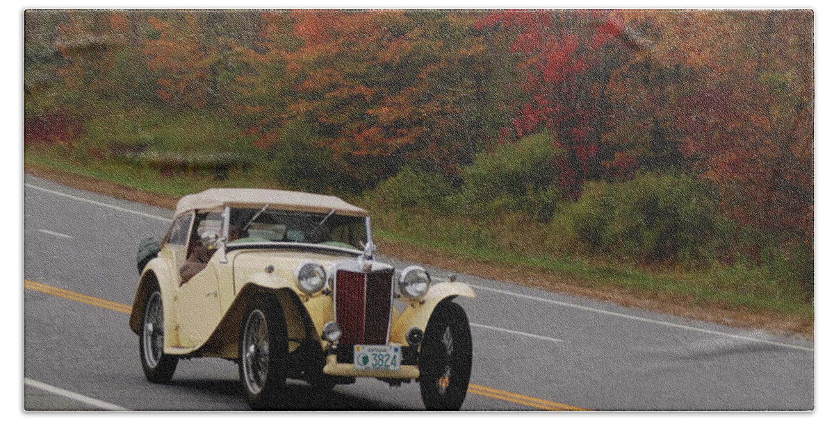 Mg Beach Towel featuring the photograph Old Yeller 8168 by Guy Whiteley