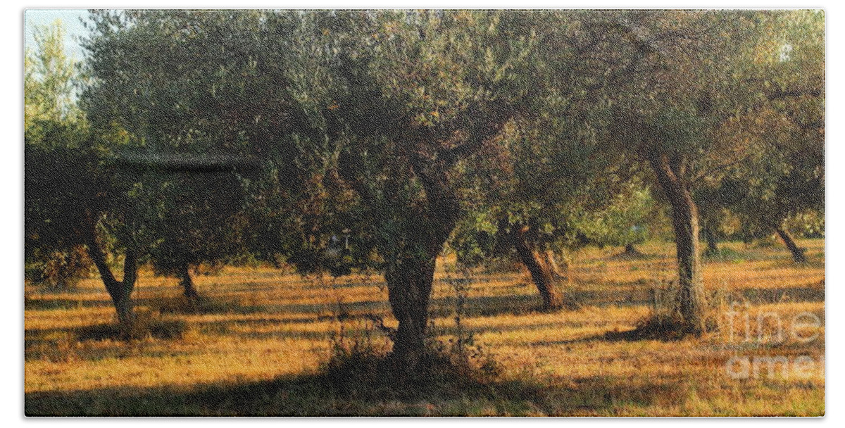 Symbol Beach Sheet featuring the photograph Olive Grove 3 by Angela Rath